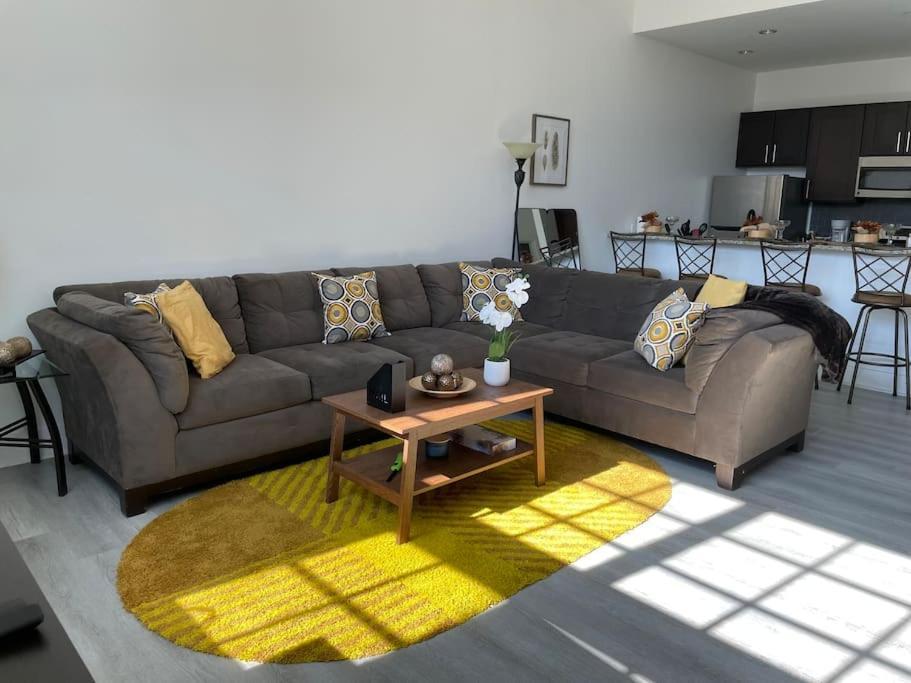 Cozy, High Rise, Large Studio Facing Downtown . Apartment Baltimore