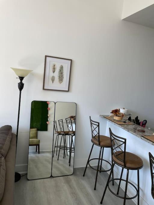 Cozy, High Rise, Large Studio Facing Downtown . * Baltimore